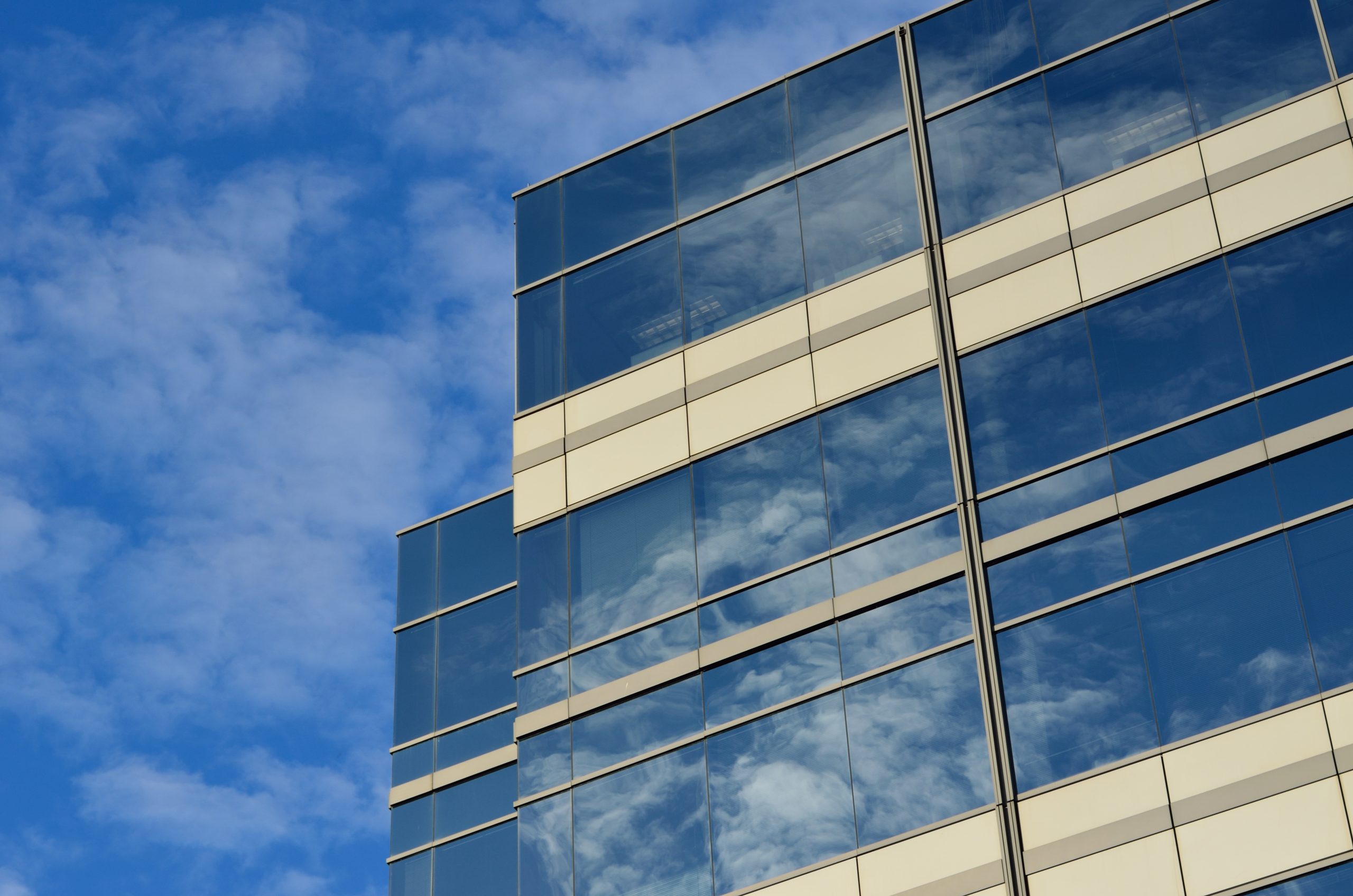 Management & Business Consulting